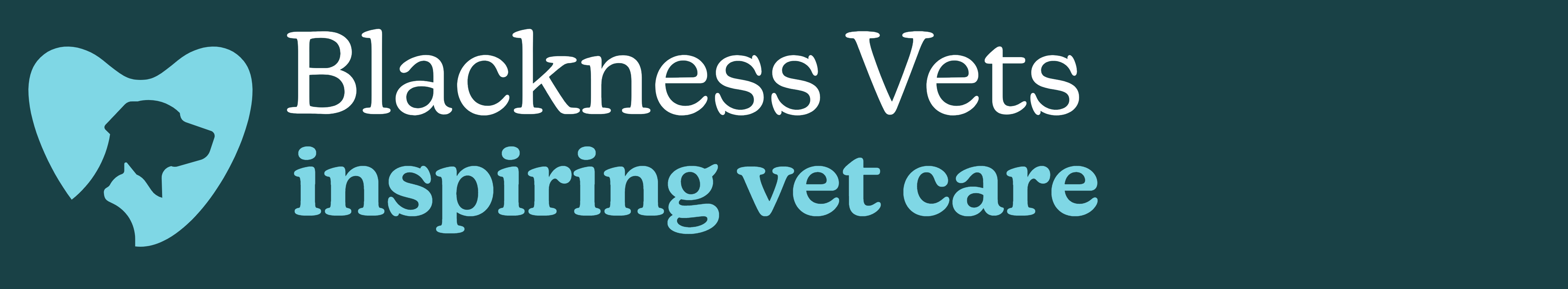 undefined Blackness Vets - Dundee logo