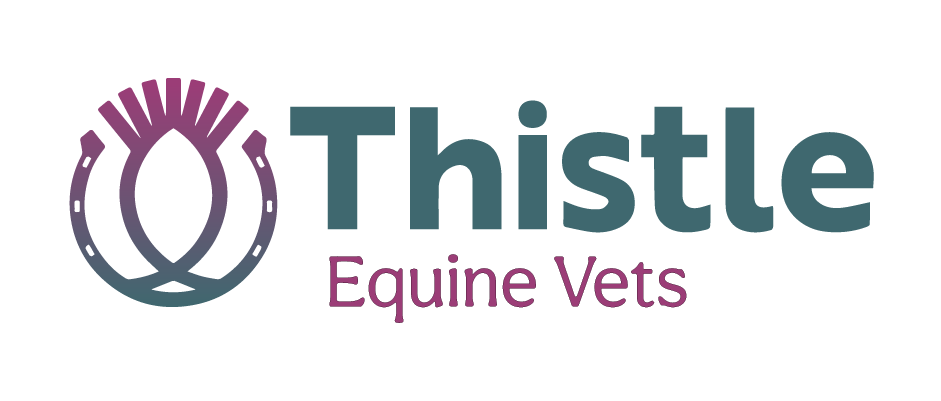 undefined Thistle Equine, Syke logo