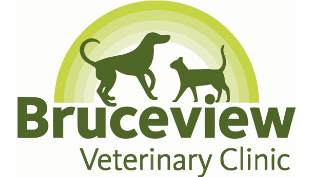 Bruceview Vets, Stirling