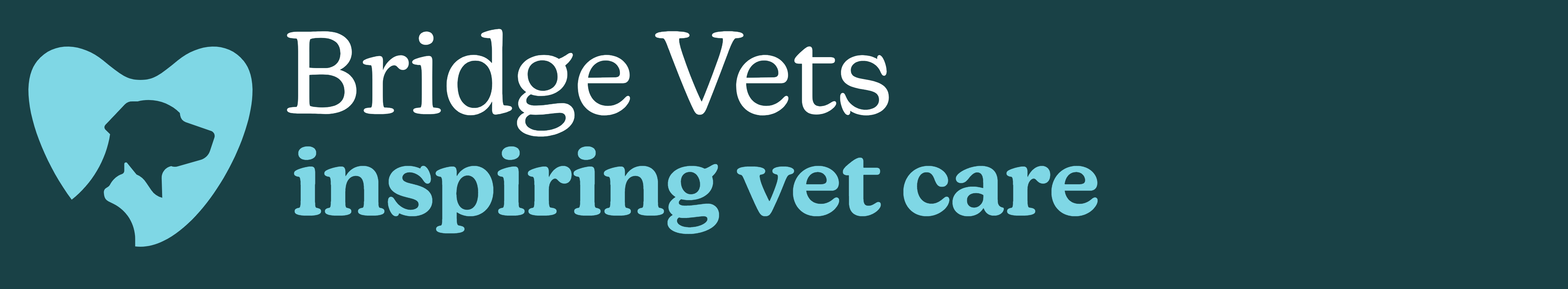 Bridge Vets - Brynmawr logo