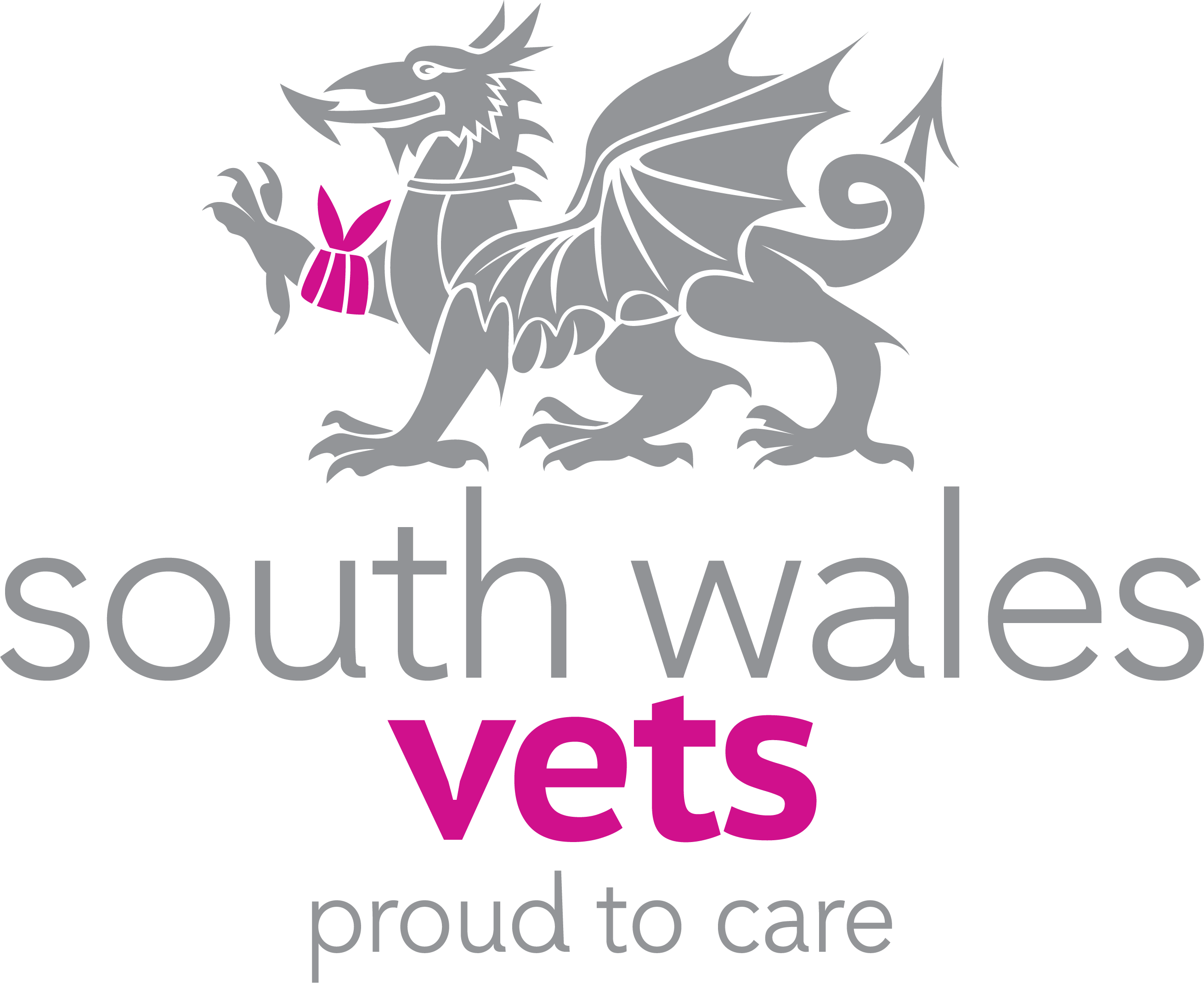 undefined South Wales Vets, Blackwood logo