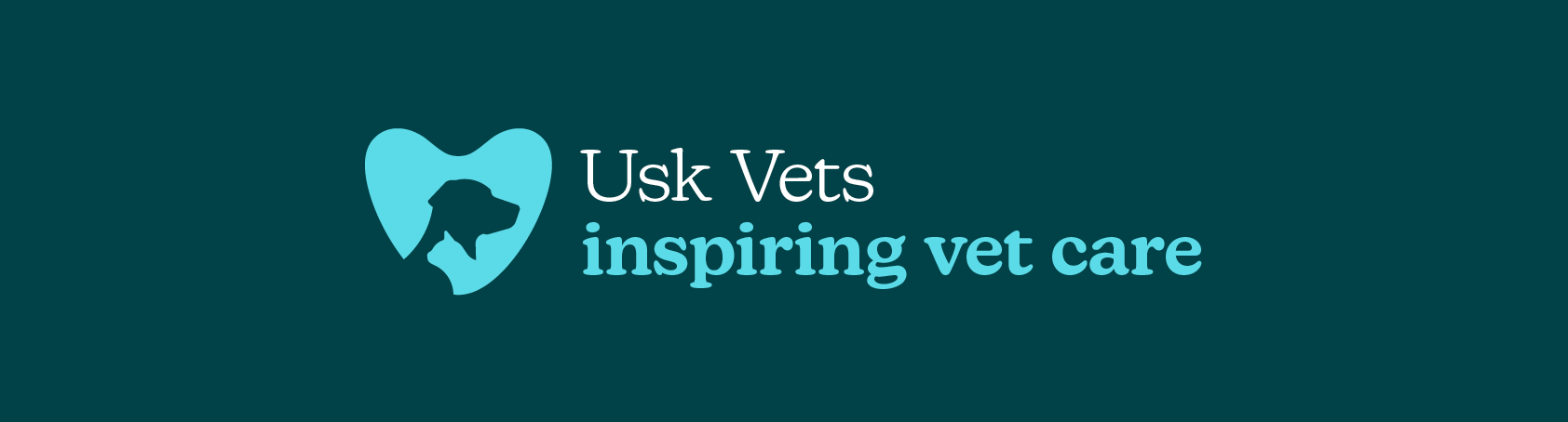 undefined Usk Vets - Caerleon logo