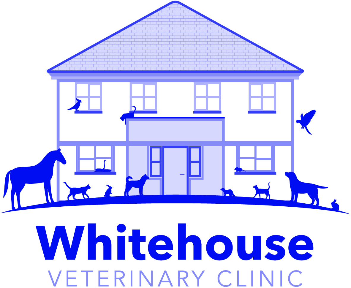 undefined Whitehouse Veterinary Clinic, Londonderry logo