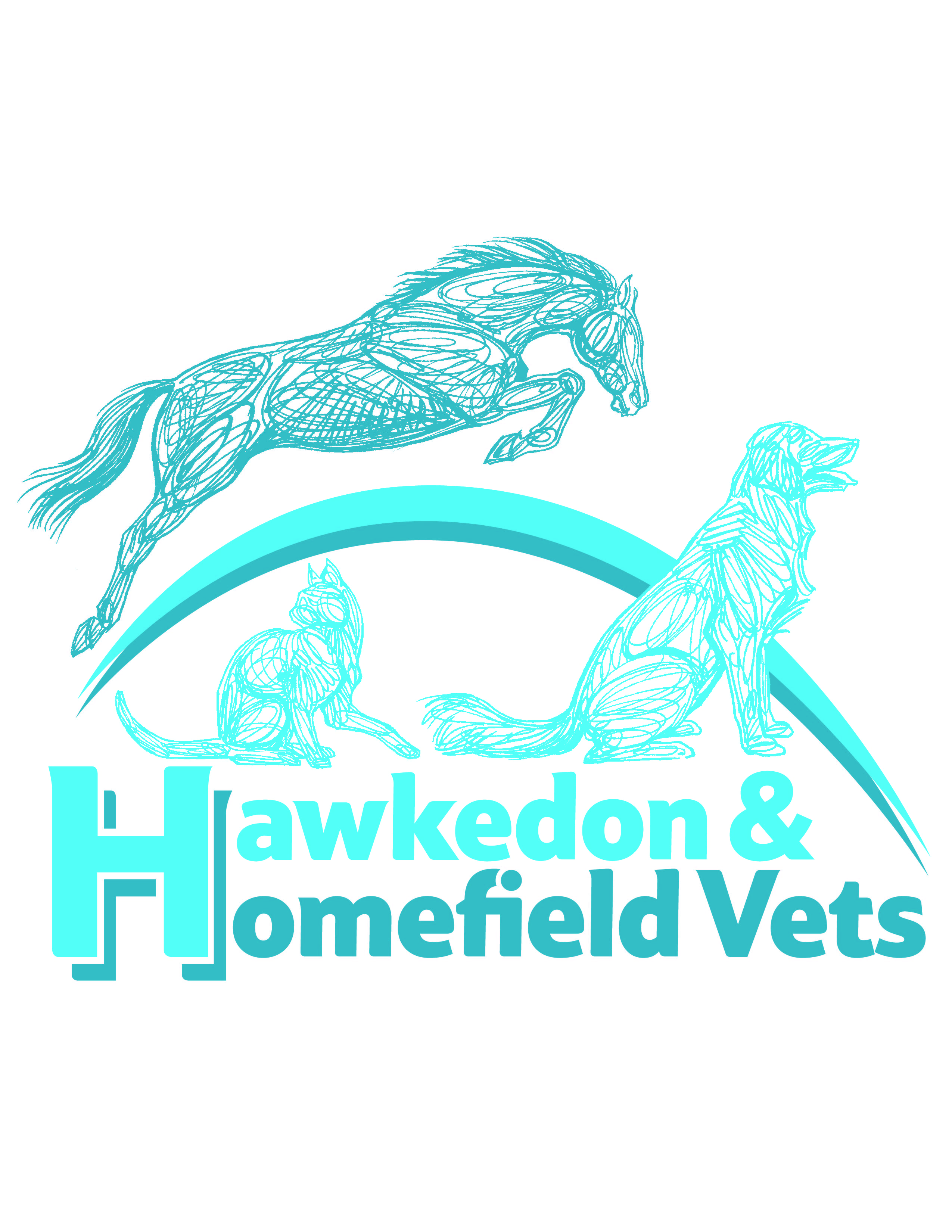 undefined Homefield Road Veterinary Surgery, Haverhill logo
