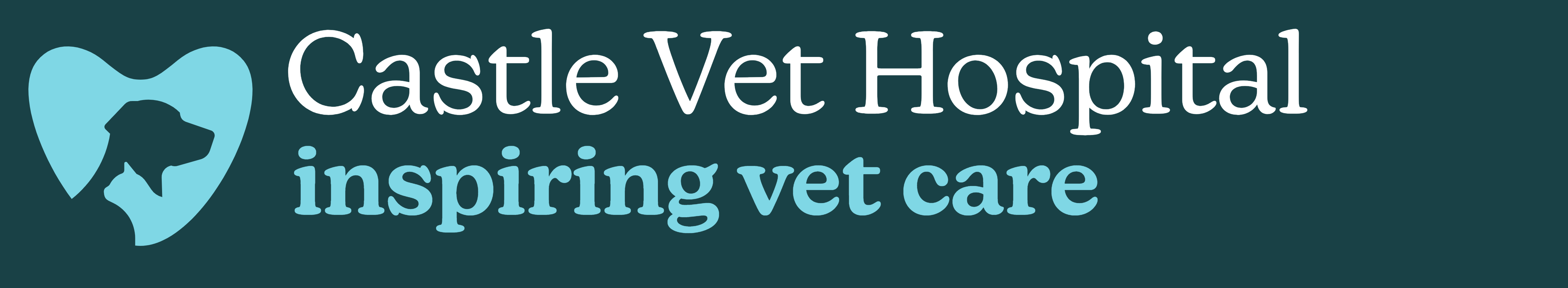 undefined Castle Vet Hospital - Reading logo