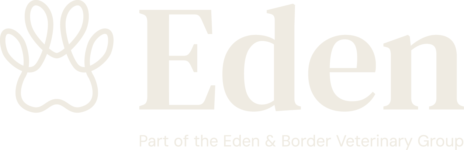 undefined's logo