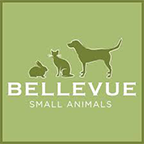 Bellevue Veterinary Clinic, Trudoxhill,  Frome