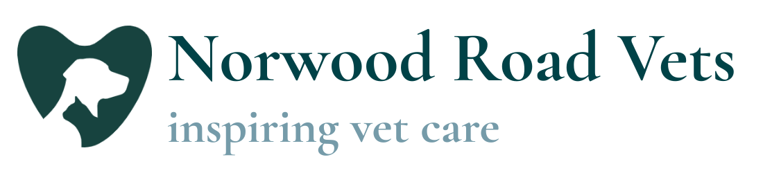 inspiring vet care - Norwood Road