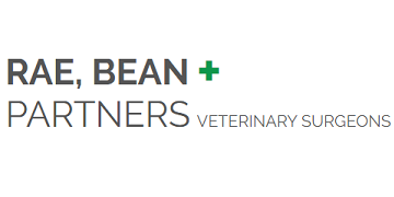 undefined Rae Bean and Partners, York logo