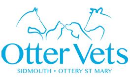 undefined Otter Vets logo