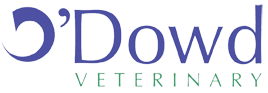 undefined's logo