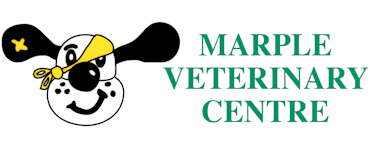 Marple Veterinary Centre, Stockport