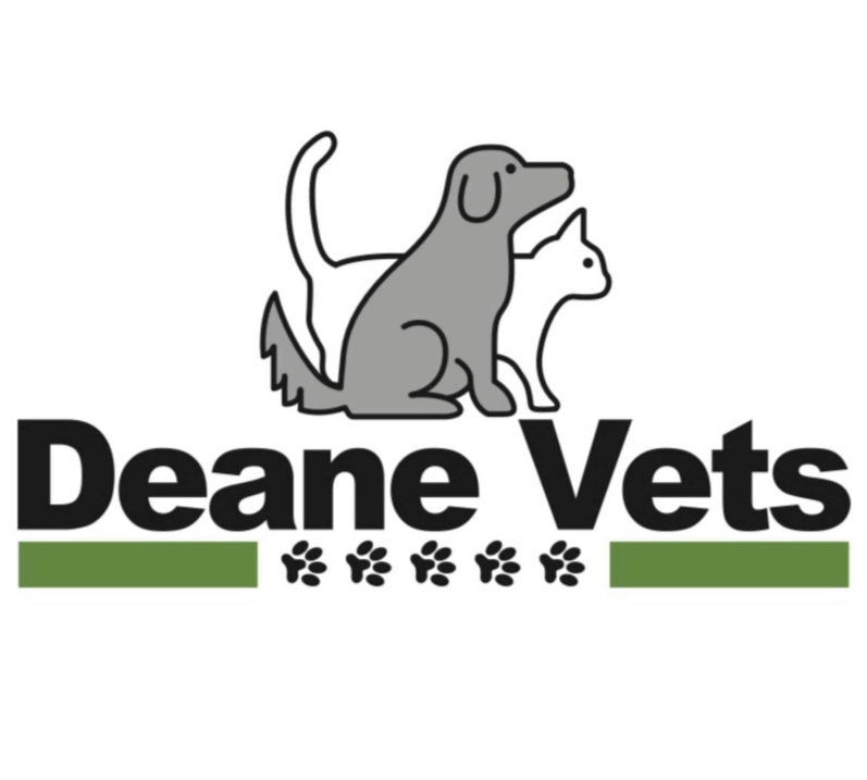 undefined Deane Vets, Taunton logo