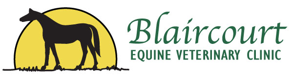 undefined Blaircourt Equine Veterinary Clinic, Chelmsford logo