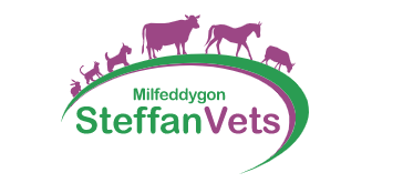 undefined Steffan Veterinary Services, Lampeter logo