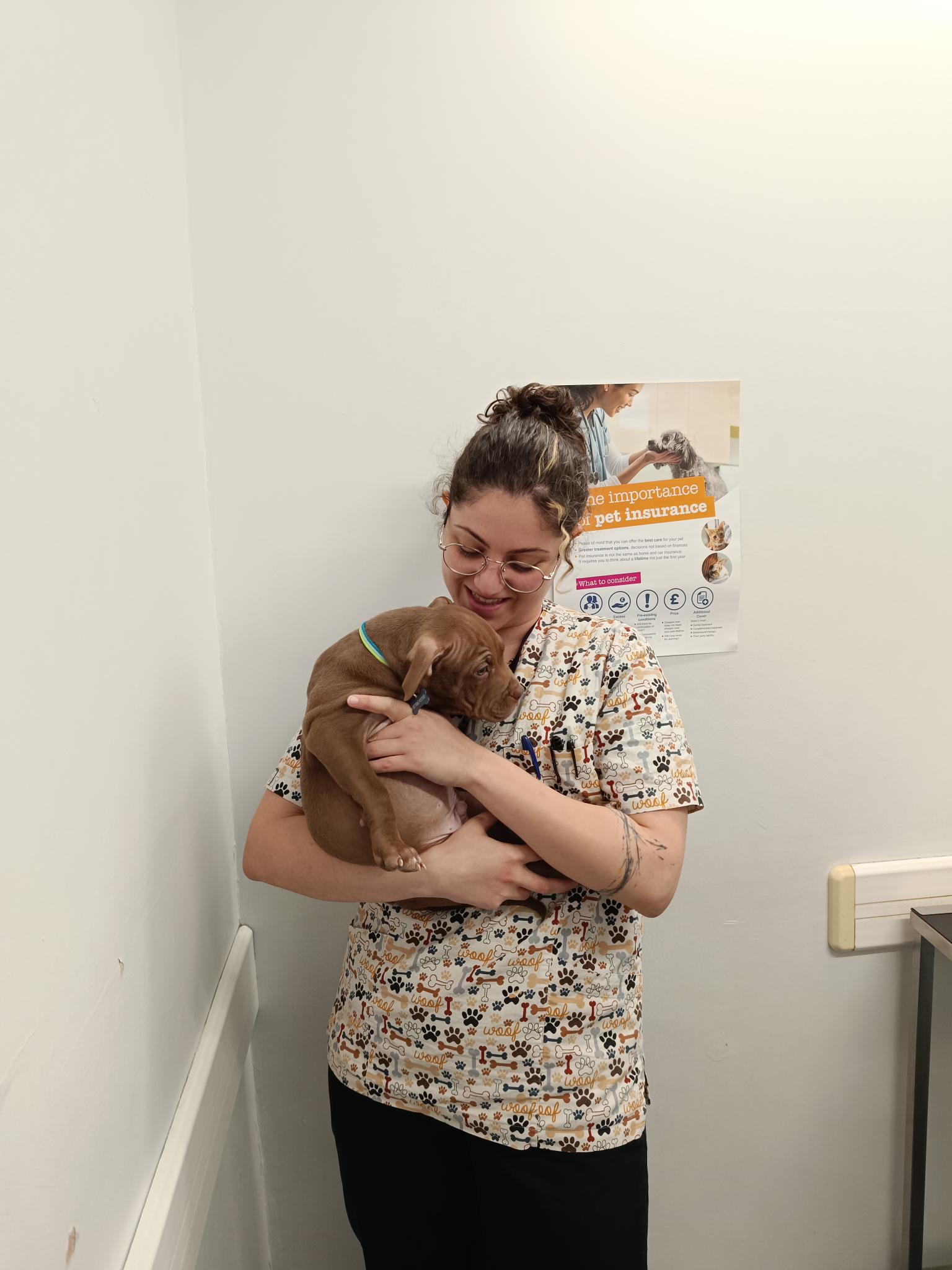 Katerina Christodoulou - Veterinary Surgeon