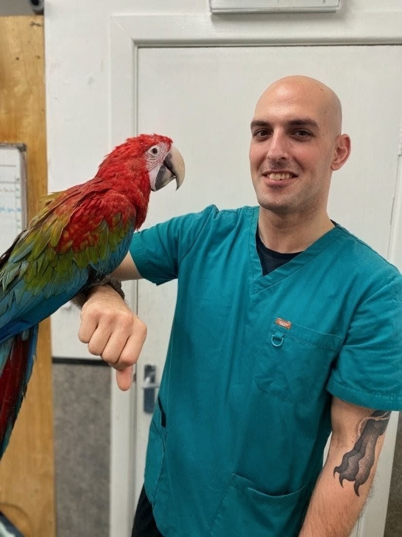 Andre Norouzi - Registered Veterinary Nurse