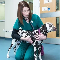 Kirsty Illingworth - RVN Registered Veterinary Nurse