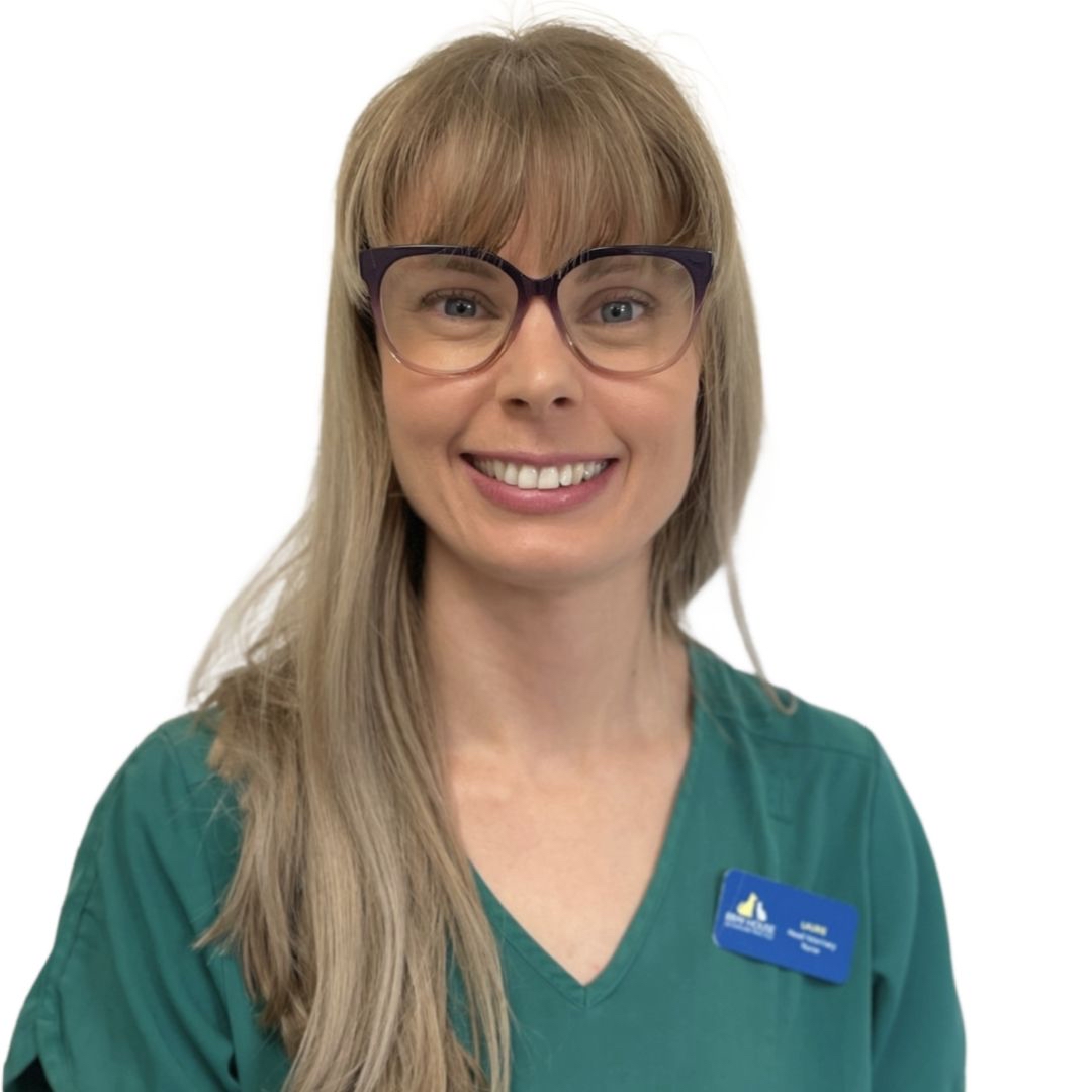 Laurie Mcmillan - Head Veterinary Nurse