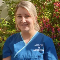 Amanda Williams