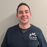 Derek Bell - Lead Veterinary Surgeon