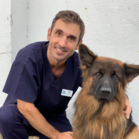 Tiago Cardoso - Head Veterinary Surgeon