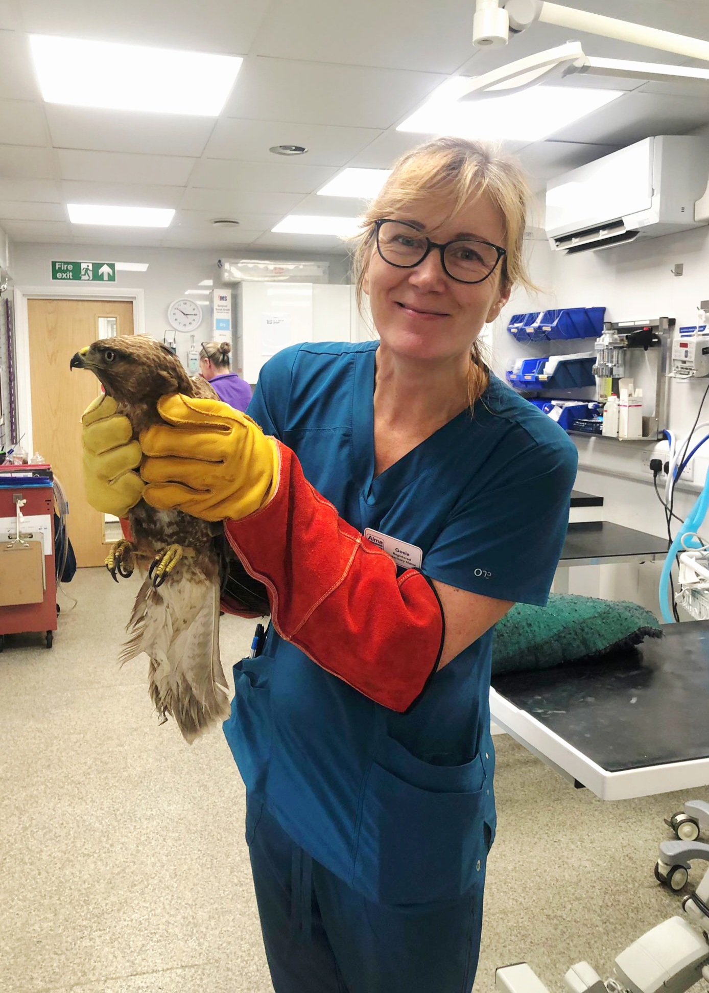 Gosia Lyson - RVN  Veterinary Nurse