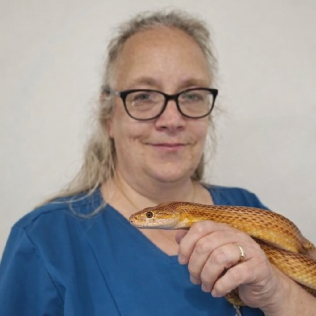 Louise Johns Rvn Phd, Bsc (Hons) Biochem. - Registered Veterinary Nurse