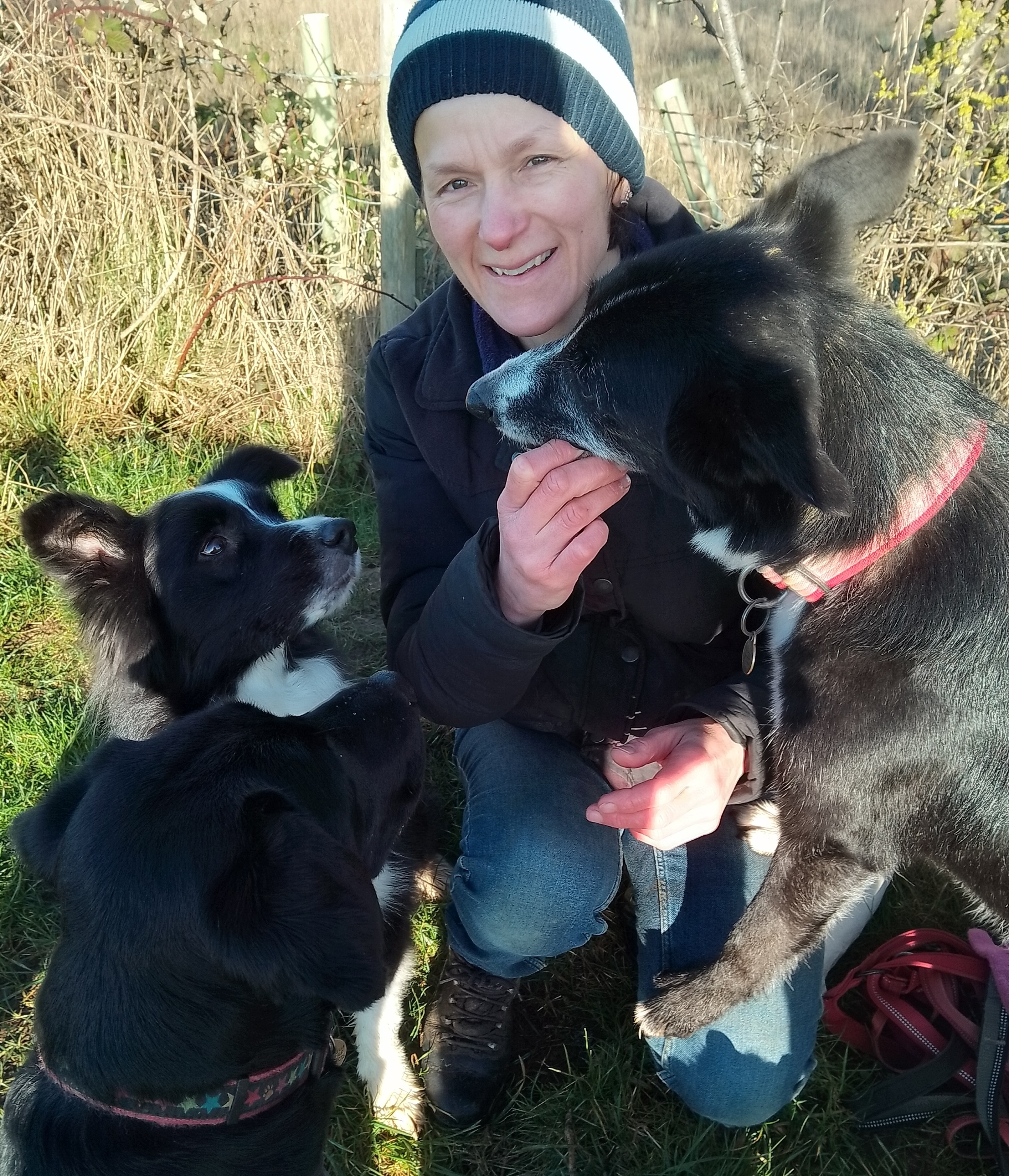 Sonya Harris - BSc(Hons) RVN Veterinary Nurse
