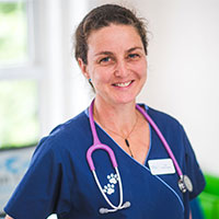 Liz Forbes