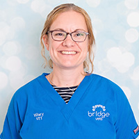 Hilary Blackhall - BVMS GP Cert SAM MRCVS Veterinary Surgeon