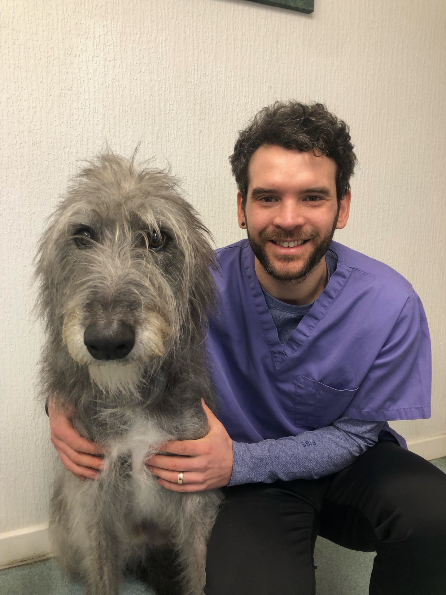 Henk Lubbinge - BVSc MRCVS Senior Veterinary Surgeon