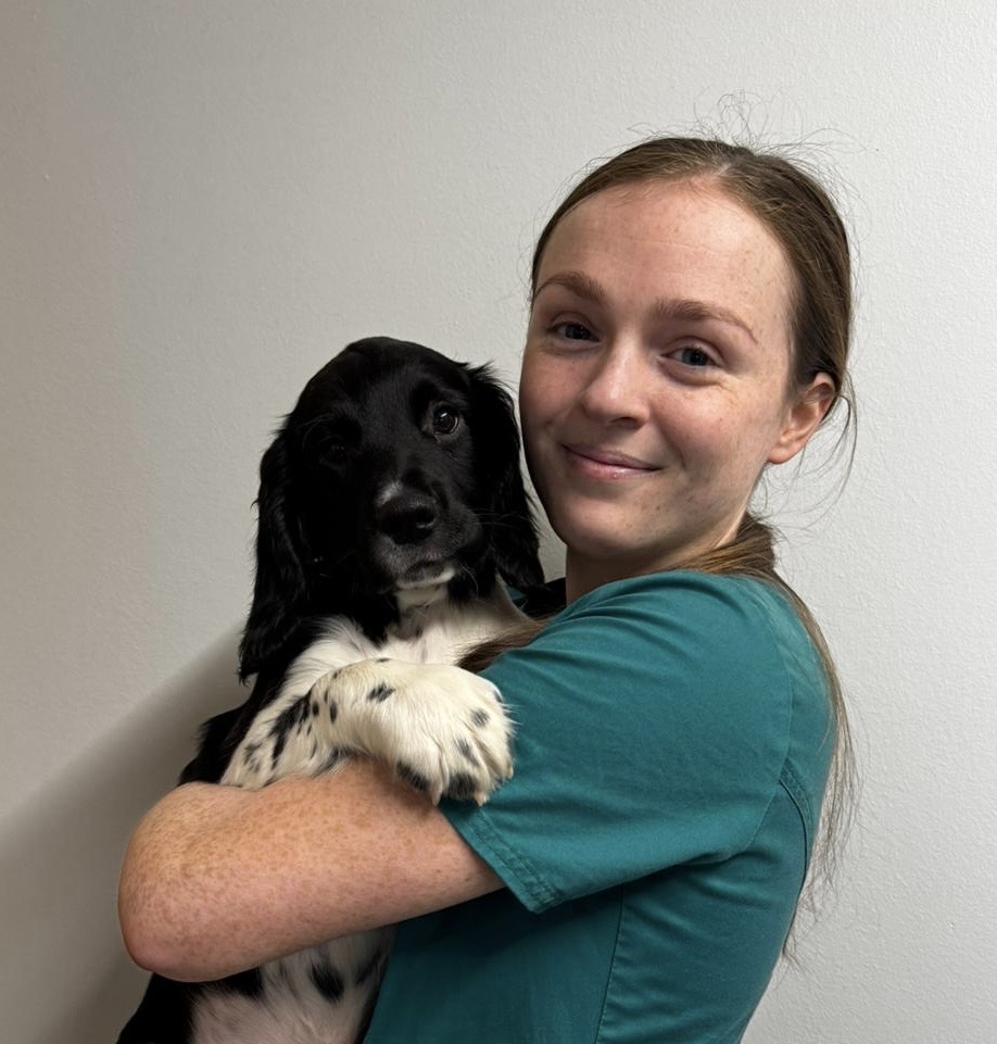 Amy - RVN Veterinary Nurse