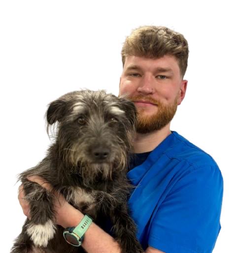 Jack Carne - Animal Care Assistant