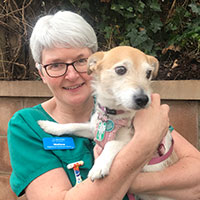 Melissa Fairweather - RVN Senior Veterinary Nurse