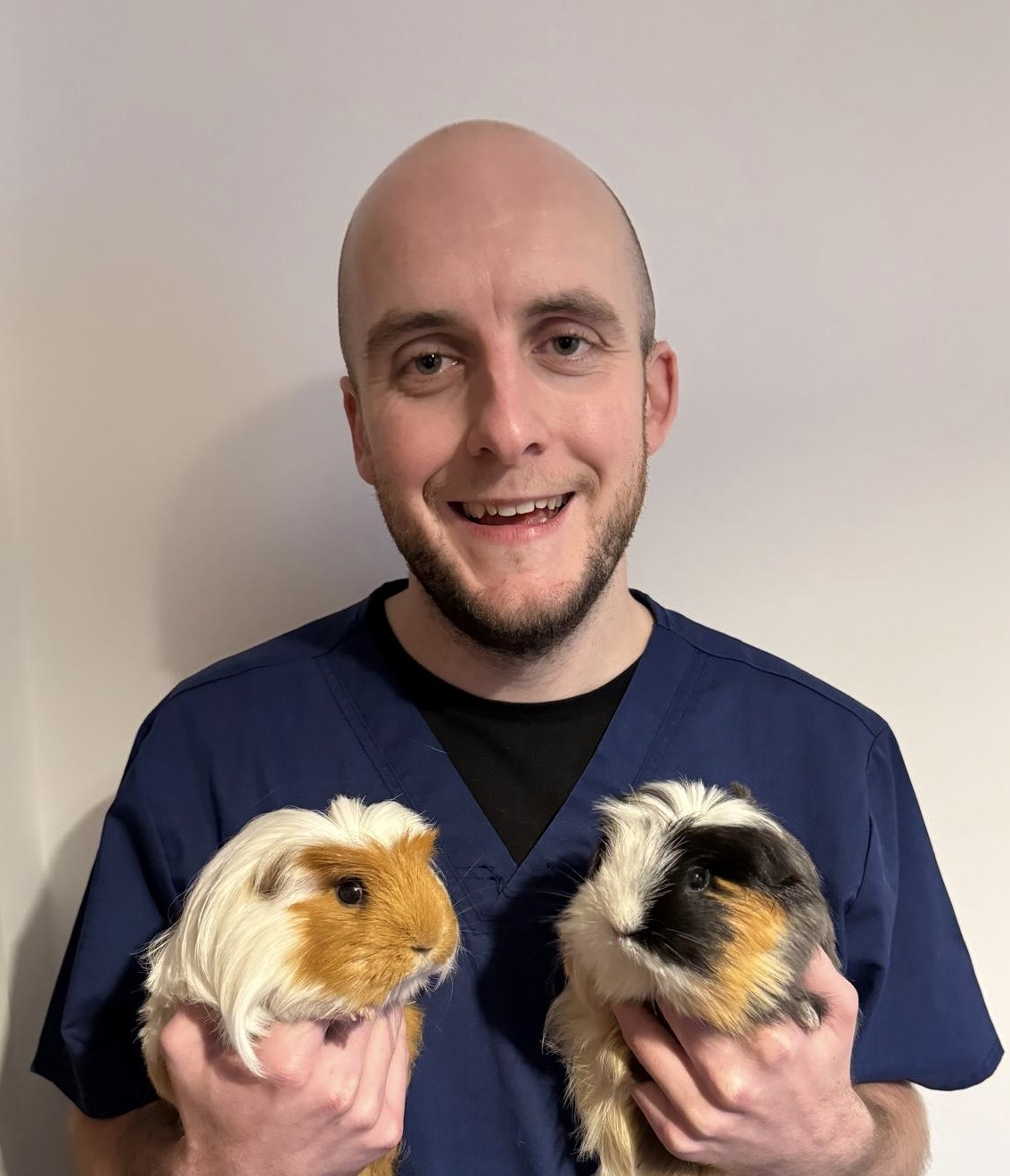 Connor O'callaghan - BVM&S MRCVS Veterinary Surgeon