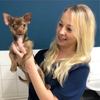 Claire Jamieson - Head Nurse Registered Veterinary Nurse