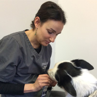 Belinda Nunes - MRCVS Veterinary Surgeon