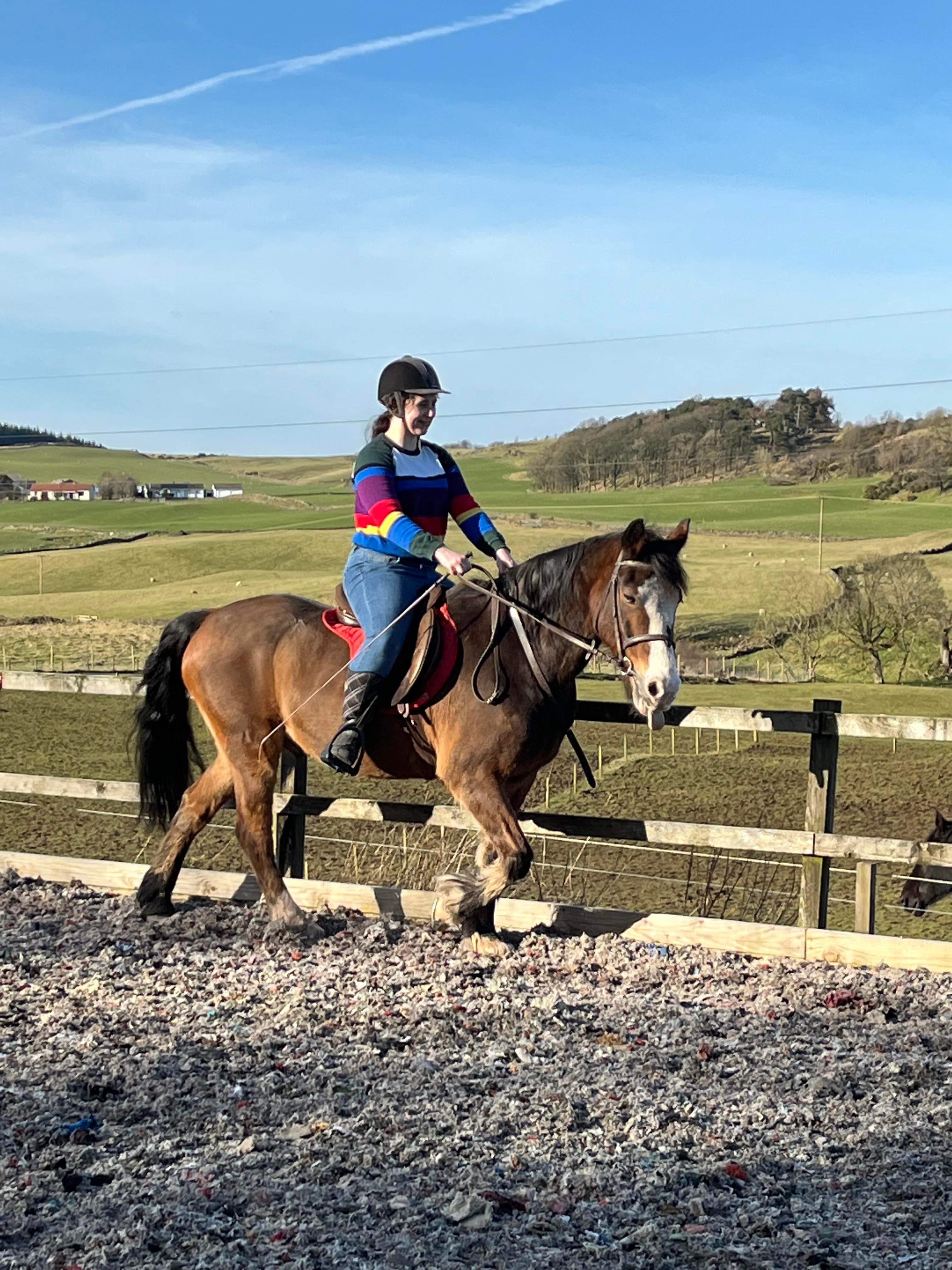 Sarah Burke - Registered Veterinary Nurse