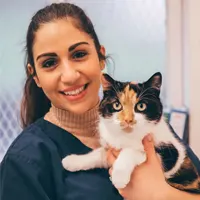 Alexia Demetriou BVM&S MRCVS