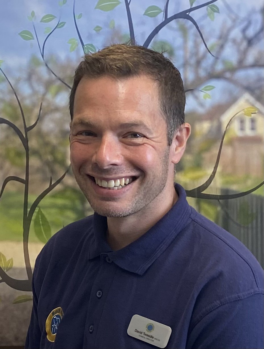 Dr David Tweedle BVetMed MRCVS