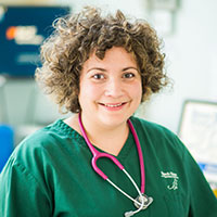 Hannah - Director of Practice RVN