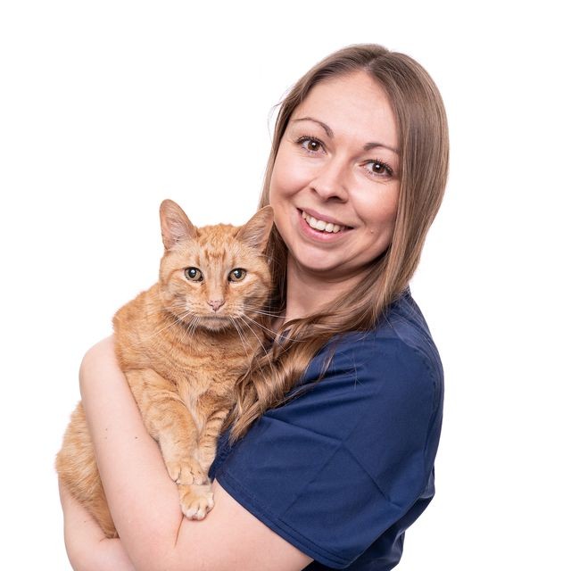 Jodie Tanner