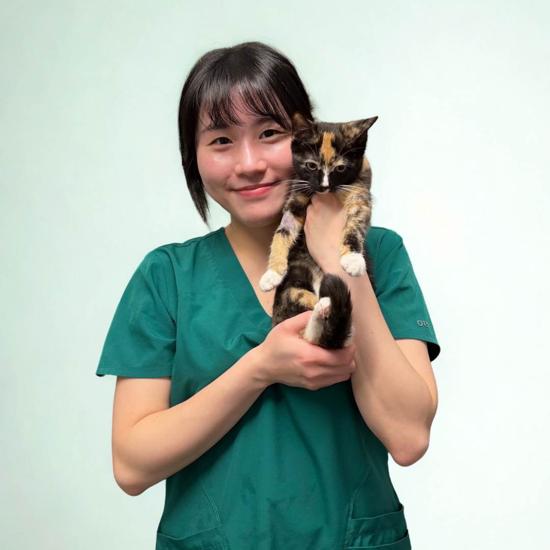 Meredith Mung - Placement Student Nurse