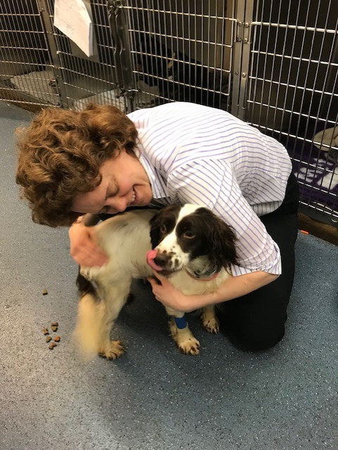 Elizabeth Lyon - BVM&S, MRCVS Veterinary Surgeon