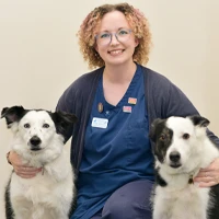 Amy Dickinson - FdSc RVN, ISFM DipFN, ISFM AdvCertFB Registered Veterinary Nurse
