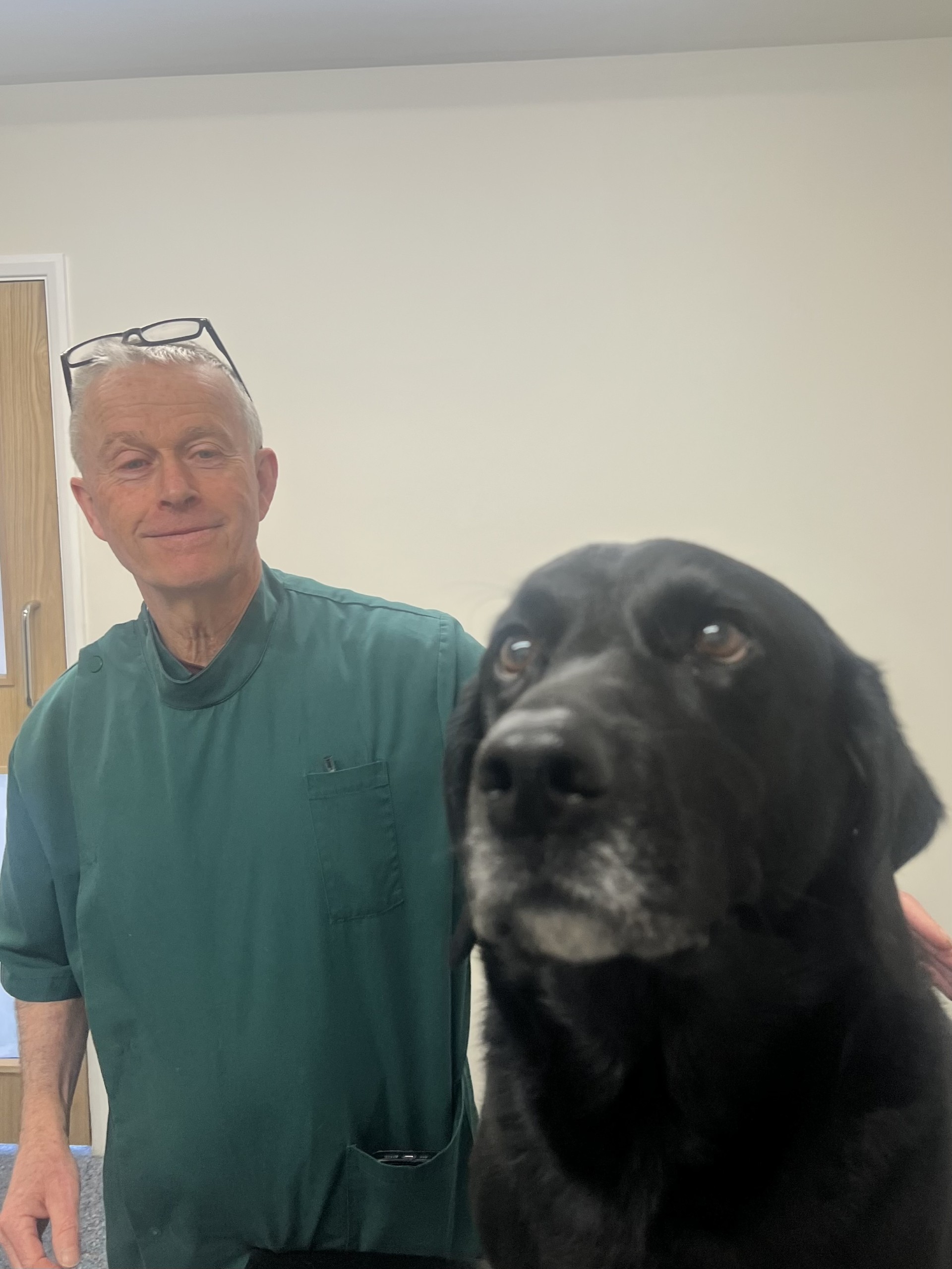 Roland - BVSc MSc MRCVS Veterinary Surgeon