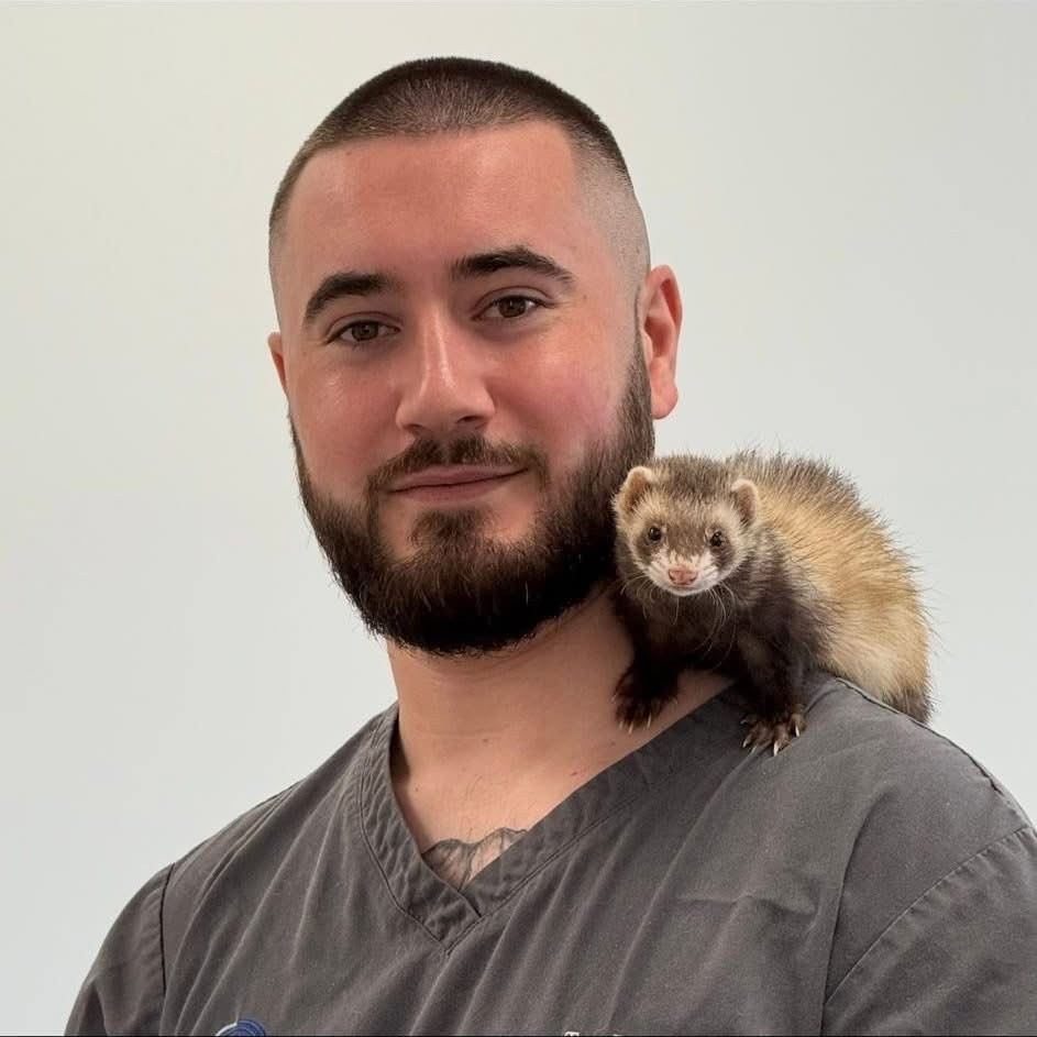 Thomas Dainty RVN