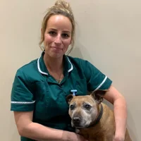 Hollie Craig - Registered Veterinary Nurse