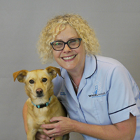 Lucy, DipNCS(VCC)